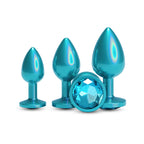 Rear Assets Trainer Kit - Iridescent Teal - Iridescent Teal Metallic Butt Plugs - Set of 3 Sizes
