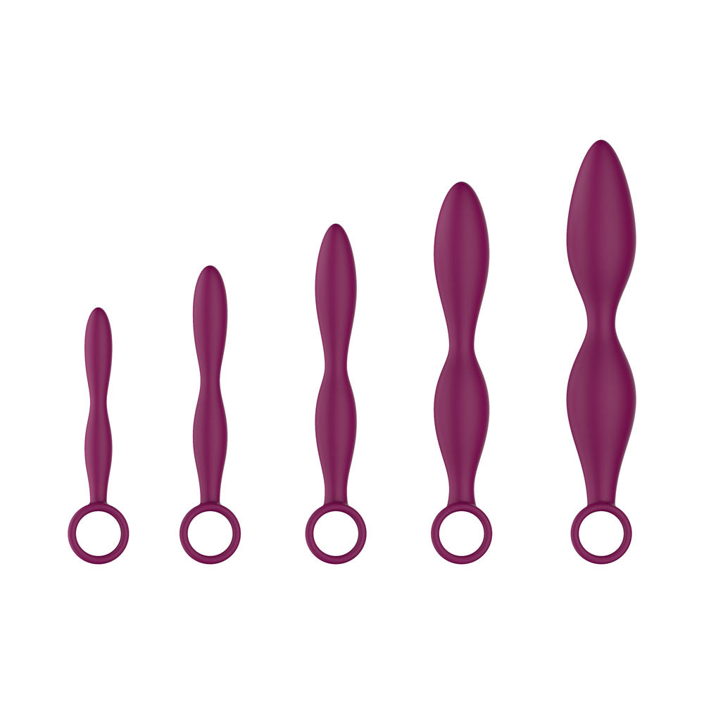Passion Play Silicone Dilator Set - Purple Dilator Kit - Set of 5 Sizes