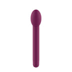 Passion Play Silicone G-Spot Vibrator - Purple 20.7 cm USB Rechargeable G-Spot Vibrator