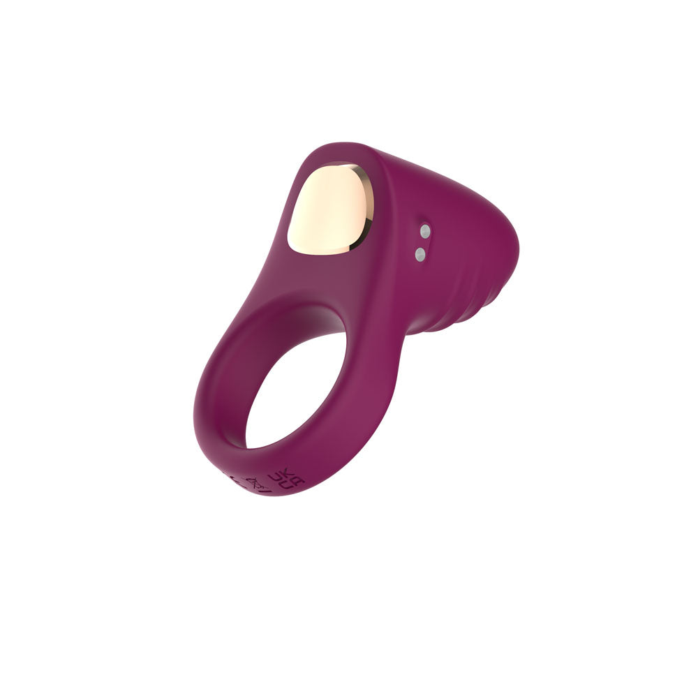 Passion Play Silicone Vibrating Cockring - Purple USB Rechargeable Penis Ring