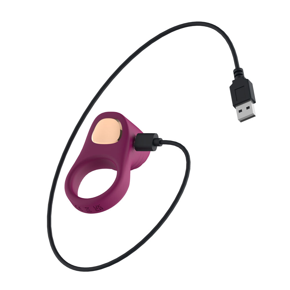 Passion Play Silicone Vibrating Cockring - Purple USB Rechargeable Penis Ring